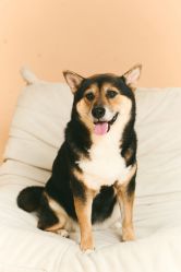 -瞳摄影写真旗舰店