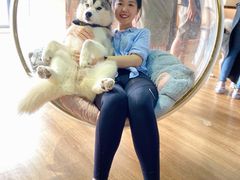 -Husky Go! 哈士奇体验馆·宠物咖啡厅狗咖