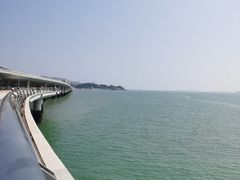 -演武大桥观景平台