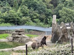 -杭州野生动物世界