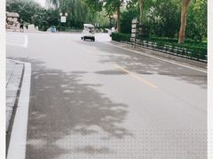 -辛玛王国游乐园