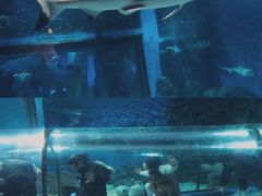 -福州罗源湾海洋世界旅游区