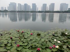 -尚贤河湿地