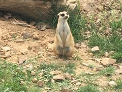 -无锡动物园·太湖欢乐园