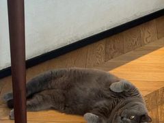 -Me Coffee下午茶艺术空间