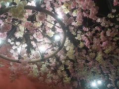 -渔香岛美蛙鱼头火锅(威清路店)