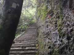 -七仙岭温泉国家森林公园