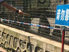 -南京金牛湖风景区