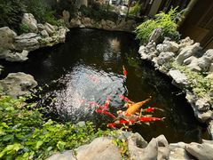 -鲤院·新中式美学·庭院餐厅(夫子庙店)