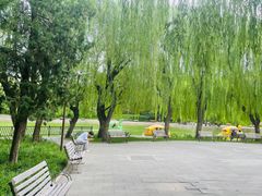 -团结湖公园
