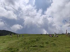 -芦芽山旅游度假区