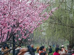-堤角公园