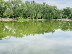 -青城公园