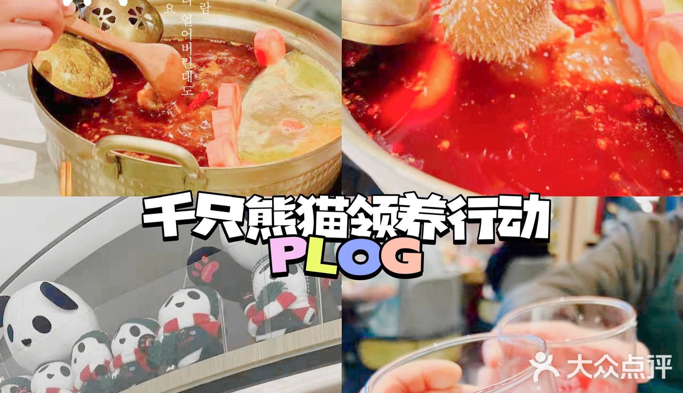 深圳熊猫领养| 2022年最好吃最有趣的火锅店