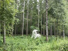 -长春净月潭风景名胜区