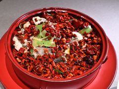 沸腾老虎斑（时价）-金海华·华宴江南(斜塘店)