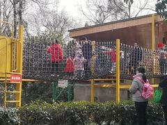 -杭州少年儿童公园