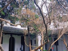 -西园戒幢律寺