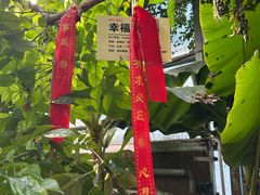 -呀路古热带植物园