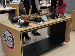 -Sony Store索尼(深圳深业上城店)