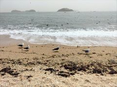 -傅家庄公园