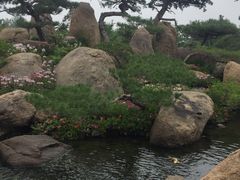 -罗红摄影艺术馆