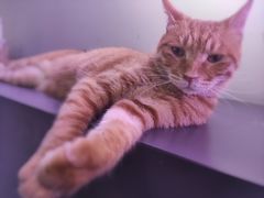 -极木²邸 人与宠物·互动社区