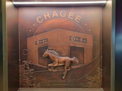 -霸王茶姬(五一路店)