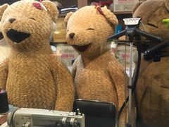 -济州岛泰迪熊博物馆