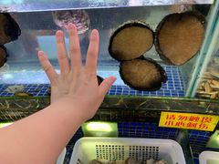 鲍鱼-欢乐海岸美食联盟