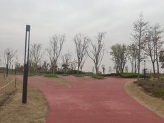 -春花秋色城市公园