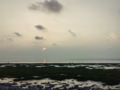 -南汇嘴观海公园