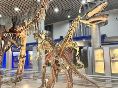 -国家自然博物馆