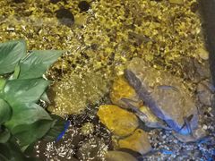 -邈墨茶馆(凤起路店)