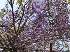 -外高桥保税区南(地铁站)