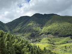 -紫鹊界梯田景区