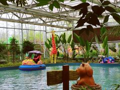 -南宫五洲植物乐园