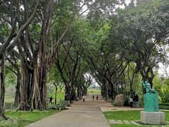 -广州雕塑公园