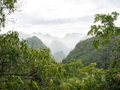 -百色大石围天坑群
