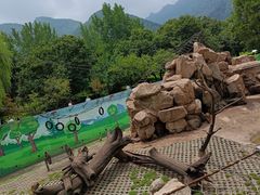 -西安秦岭野生动物园