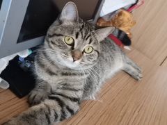 -美联众合24小时·皮肤科·外科·全科诊疗中心(华苑分院)