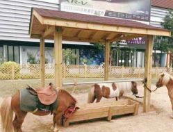 -萌宠亲子动物乐园(槐房万达店)