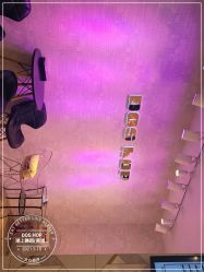 -DOS HOP潮上舞蹈