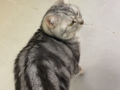 -废柴猫桌游概念馆(王府井喜悦购物中心店)