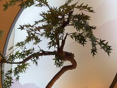 -御仙都北京菜馆·烤鸭店(双井店)