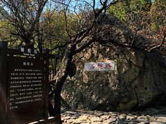 -阳台山自然风景区