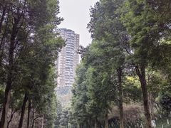 -龙头寺公园