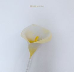 -金禧婚礼定制