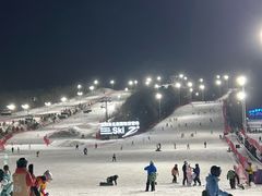 -东北亚滑雪场
