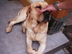 -浔岚云舍mist静谧观景美宿(丽江古城店)